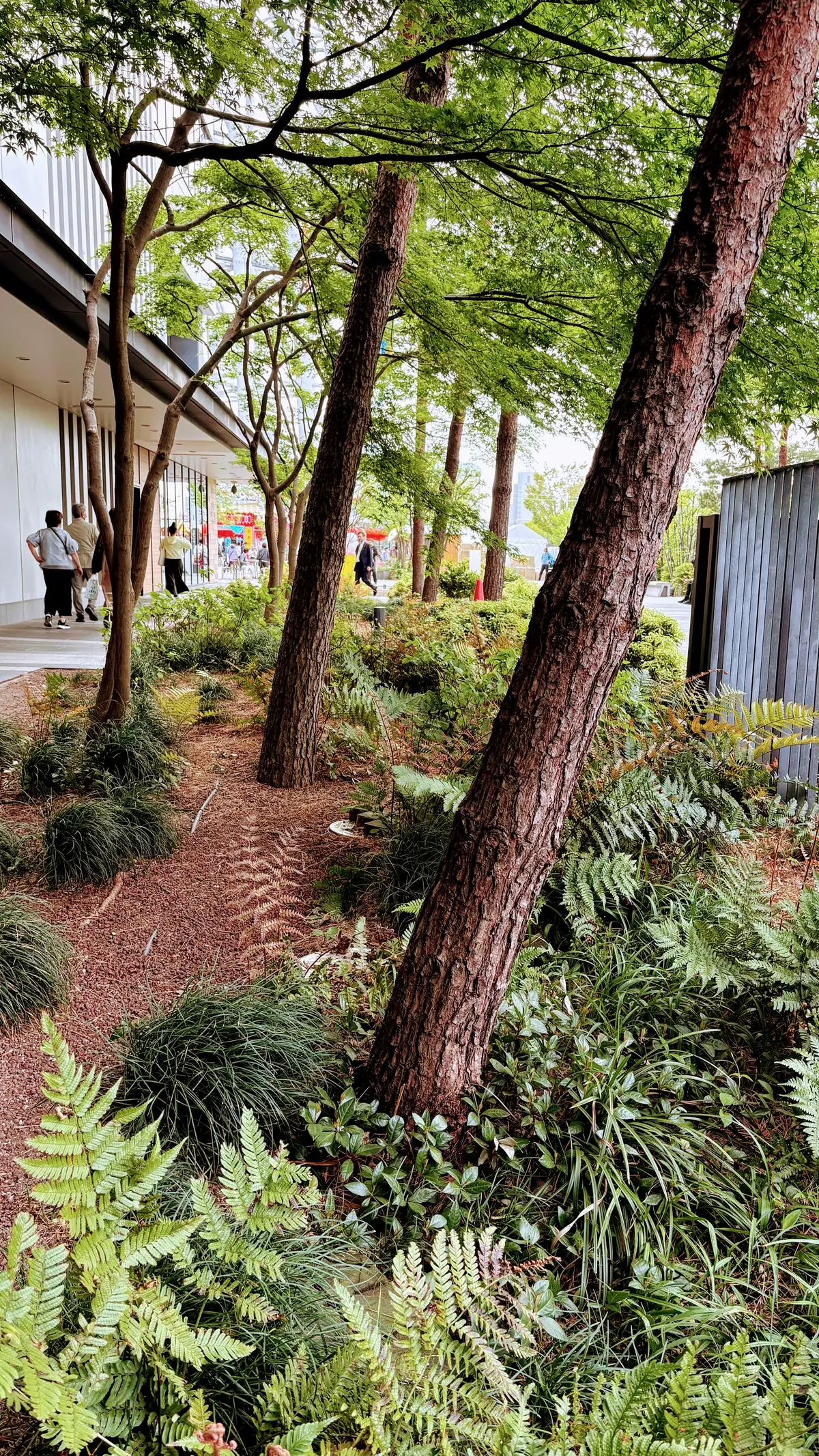 台湾祭@東京スカイツリータウン・プチプチの画像_12