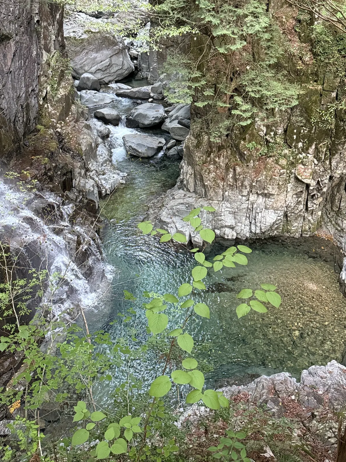 付知峡 不動滝のしぶきと木々に囲まれた癒しスポット