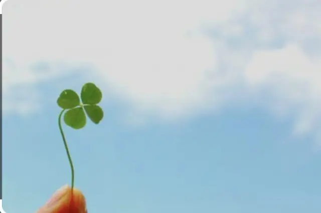 私の大切な5月の想い出、スケッチブック✨の画像_3