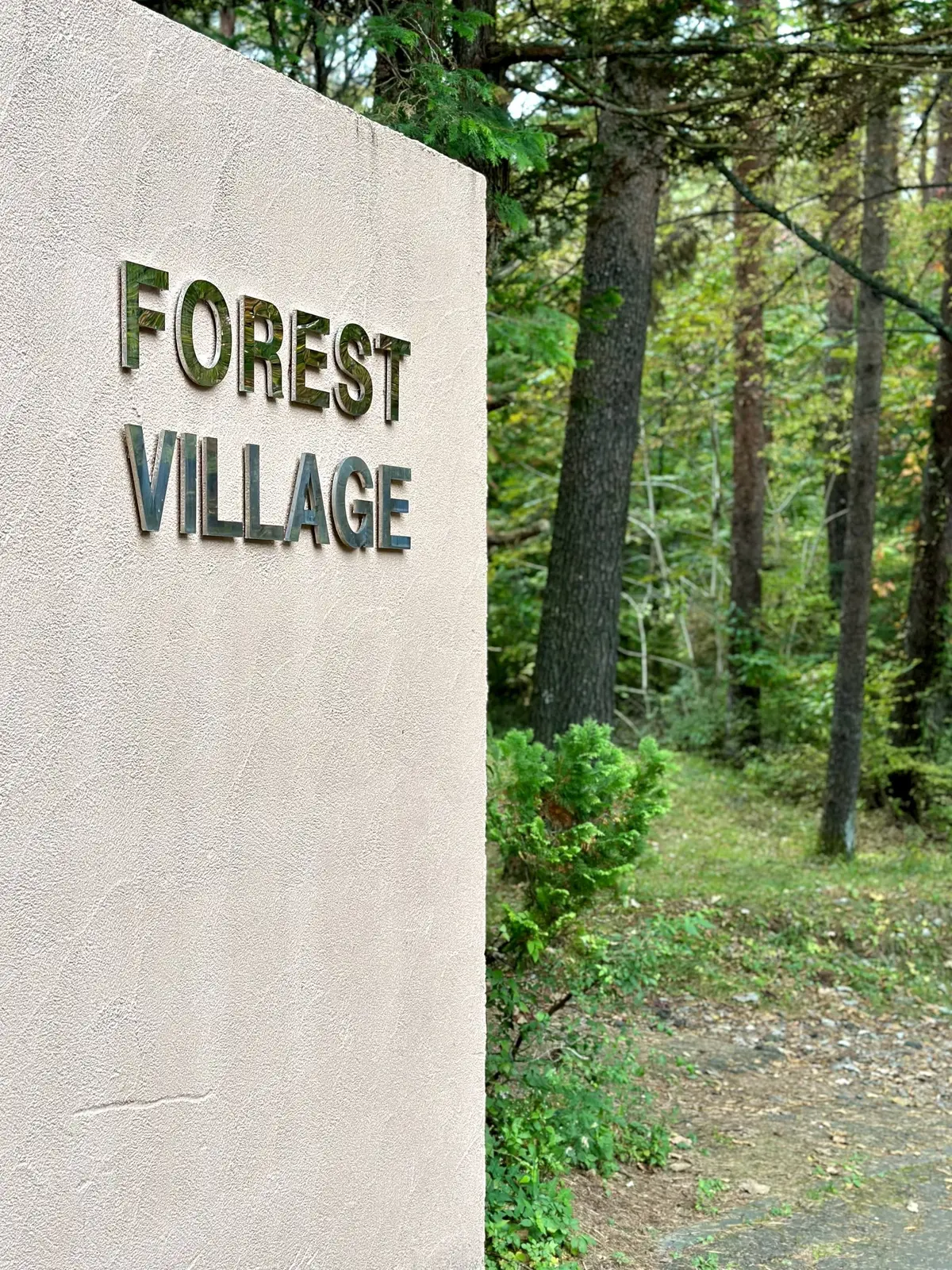 静かな時間と秋の景色を楽しむ河口湖の旅の画像_6