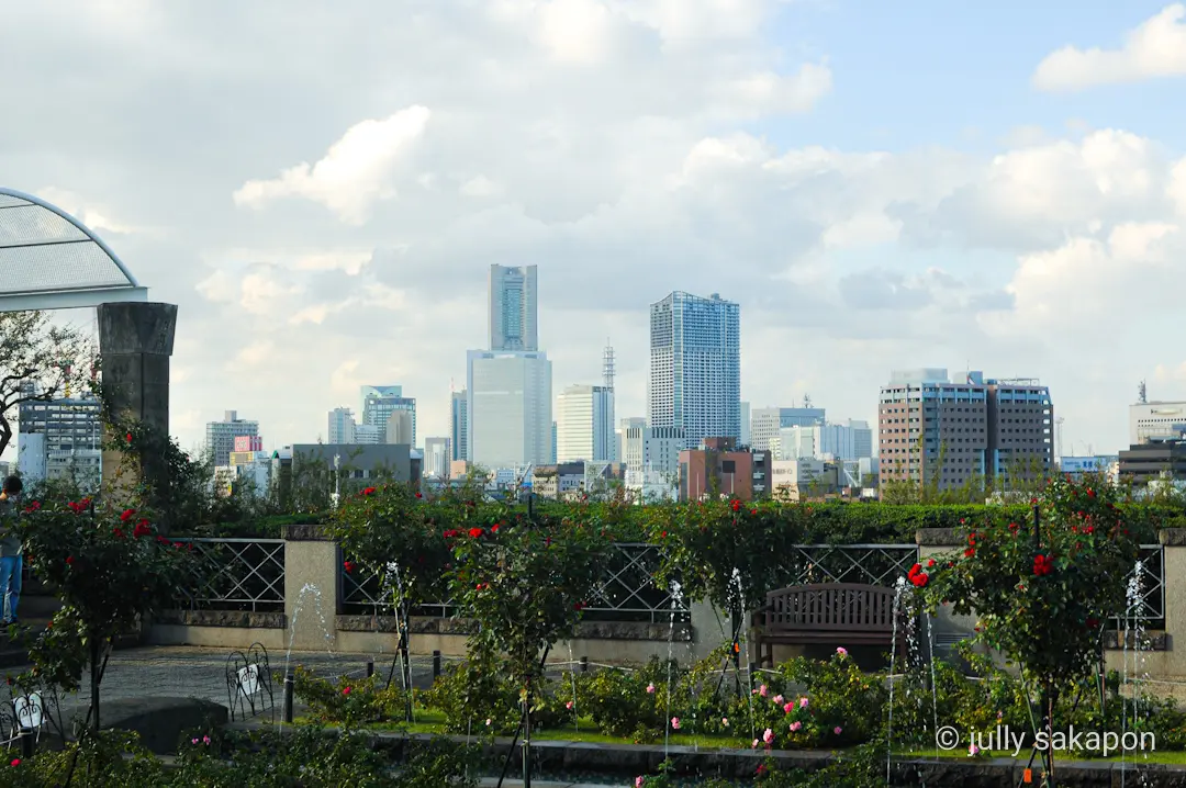 【さかぽんの冒険】異国情緒あふれる西洋館の画像_5