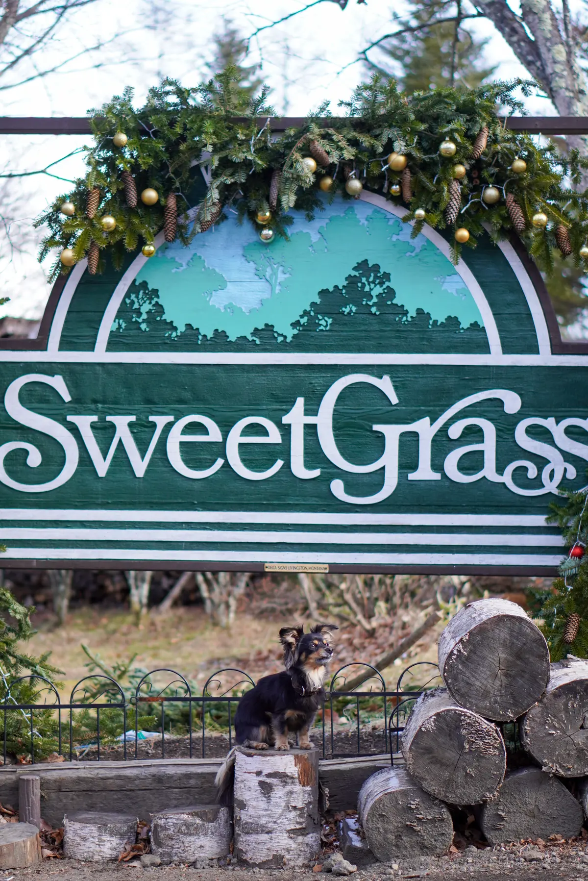 薪ストーブでX’mas クッキングの画像_1