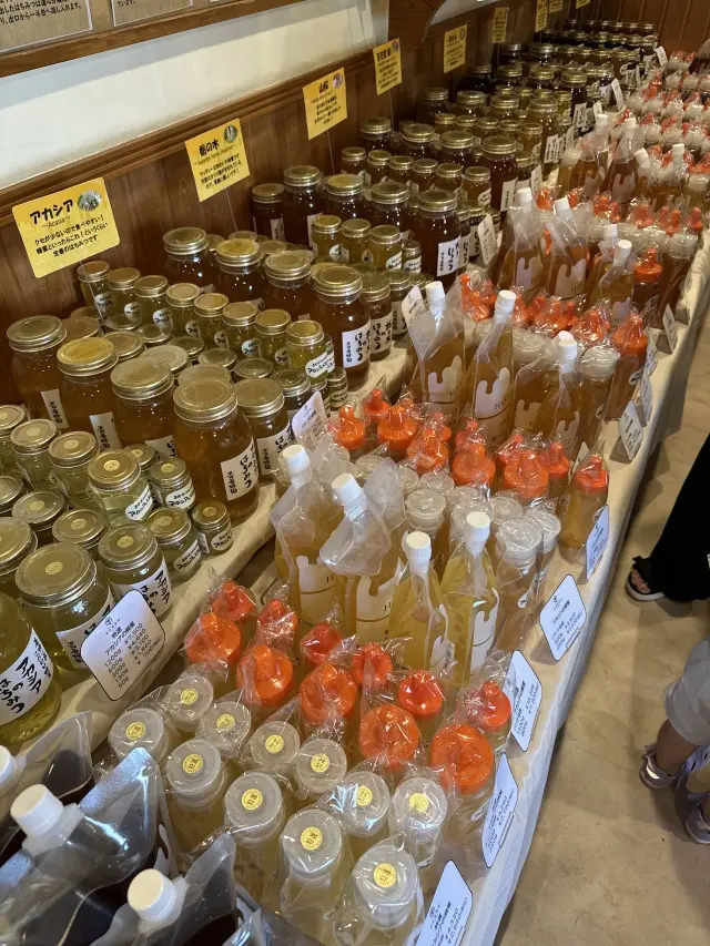 親子三代で行くはとバスツアーと真夏の高尾の画像_12