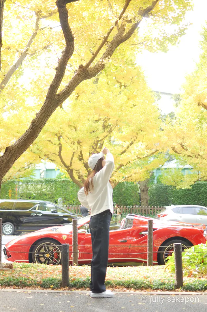 【さかぽんの冒険】絶景 いちょう並木@外の画像_12