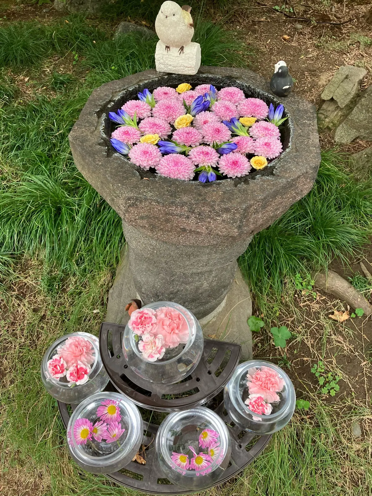 御朱印　法輪寺　切り絵御朱印　早稲田駅　お散歩　御朱印さんぽ　花手水　東京さんぽ　担々麺　岡山担々麺　定膳　EKUBODO Tokyo 早稲田