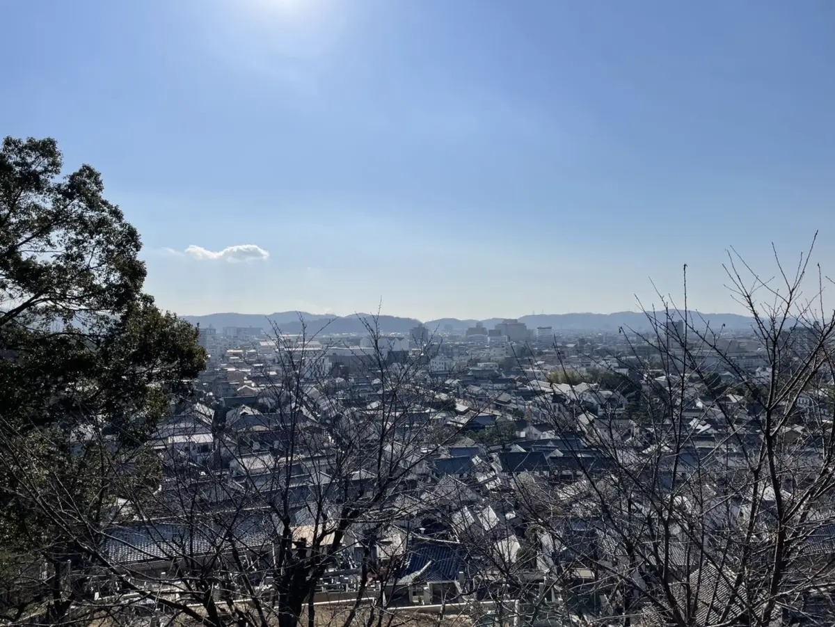 あけましておめでとうございます♬私のお正の画像_13