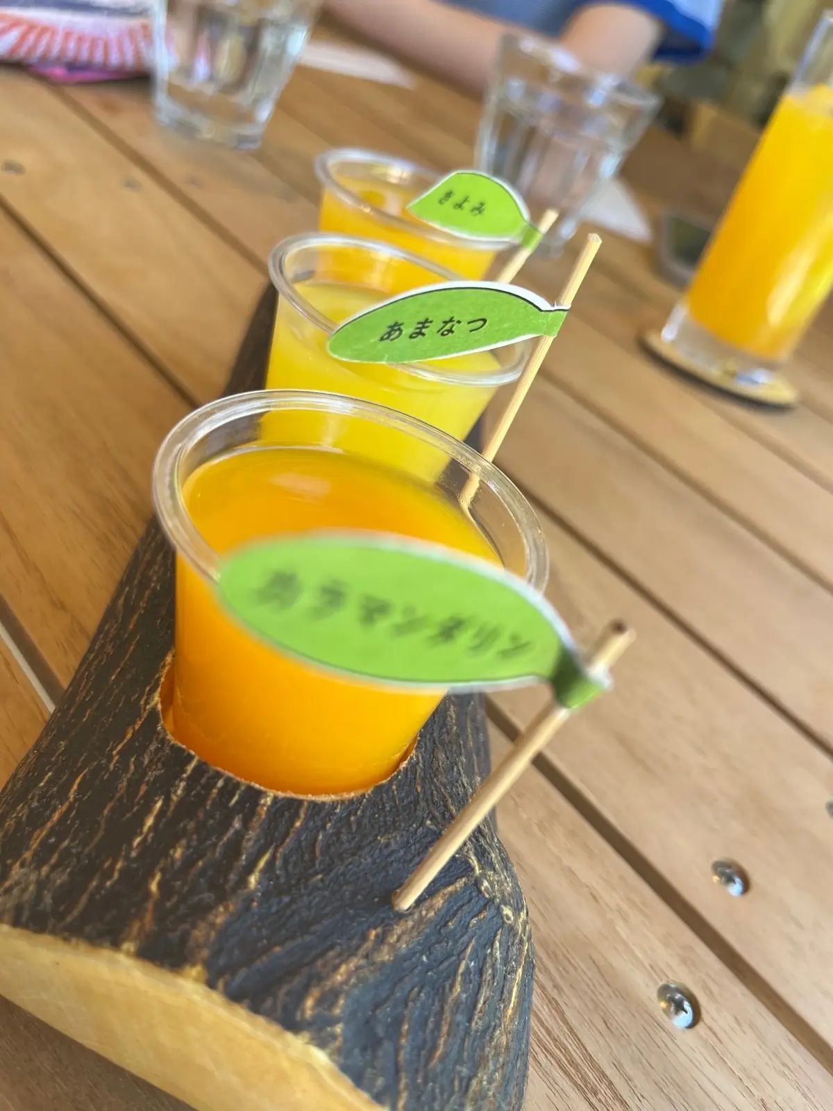 ３種飲み比べセット