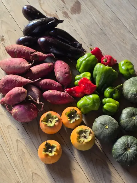 秋の収穫の画像_1