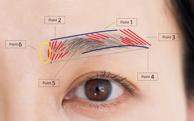 50歳からの眉で大事な「6つのポイント」を整えて、若さと優しさも取り戻す！