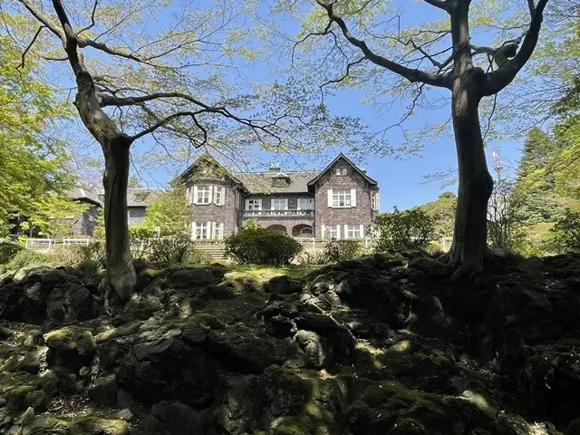 旧古河庭園と黒ボク石積