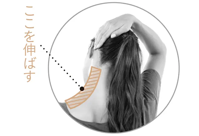 後ろ側から見ると