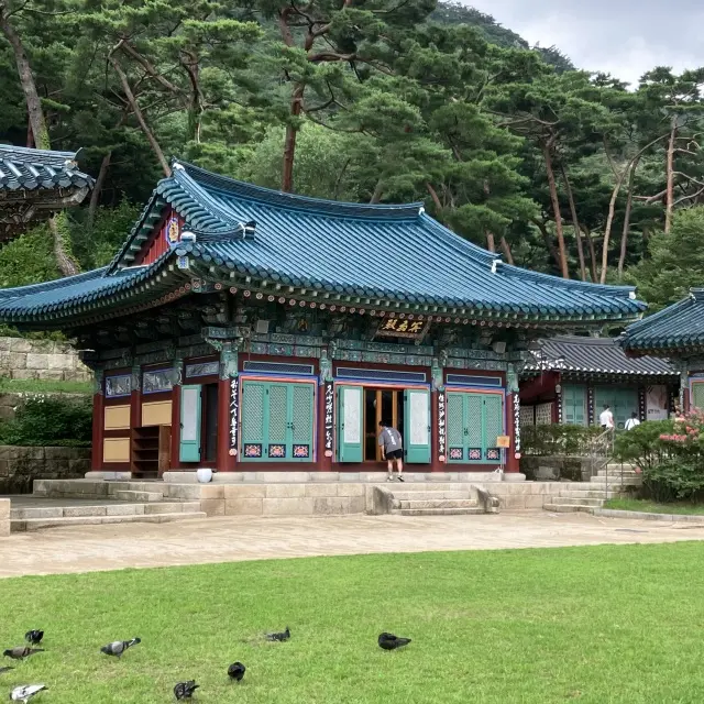 恩平韓屋村へプチトリップの画像_7