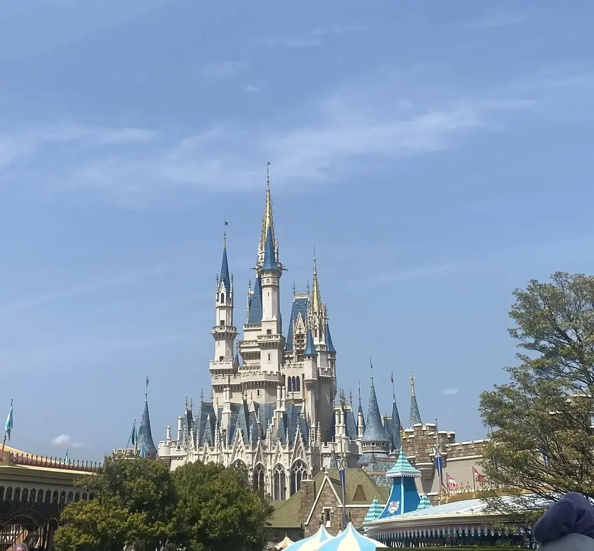 ひとりディズニーデビュー