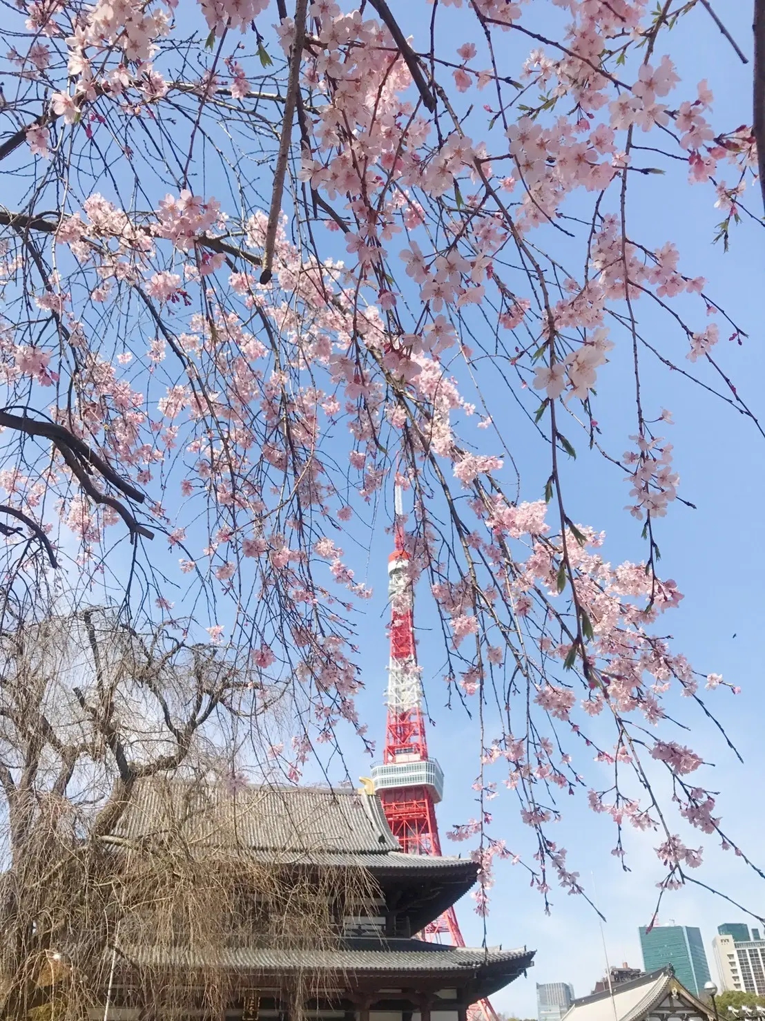 新作トートでカジュアルを格上げの画像_2