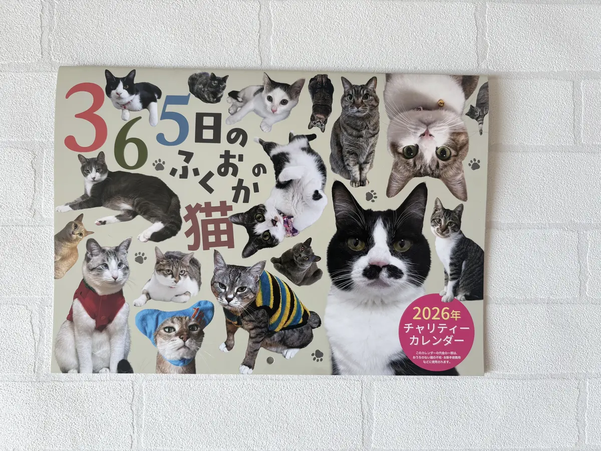 「365日ふくおかの猫」