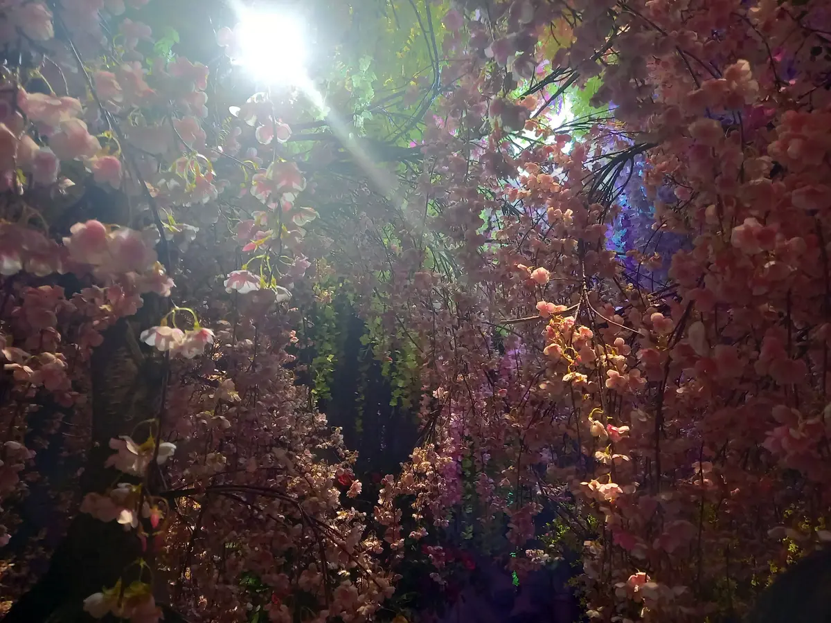 異空間体験⭐︎蜷川実花展に行きました⭐︎の画像_3