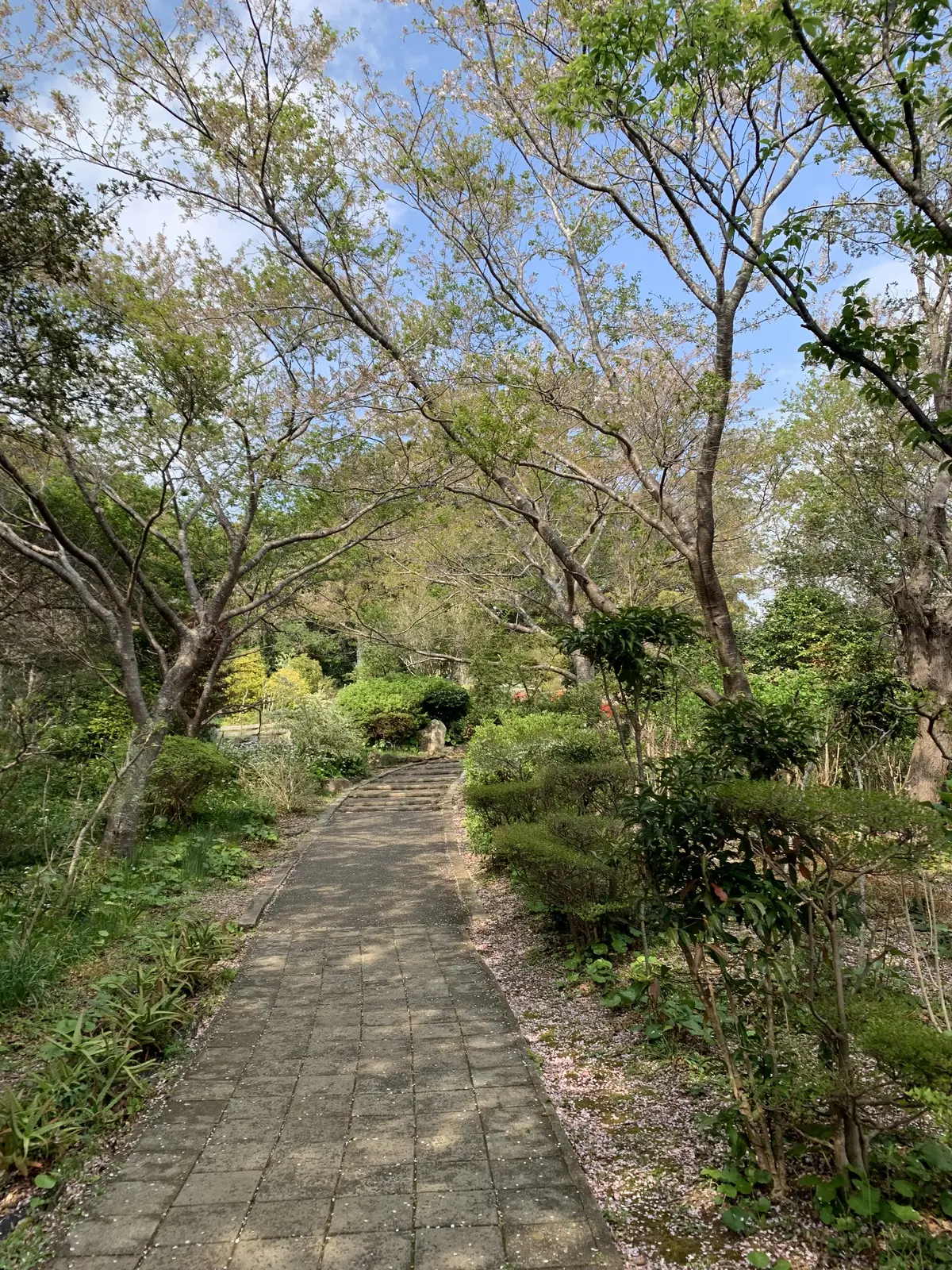 寝姿山の遊歩道