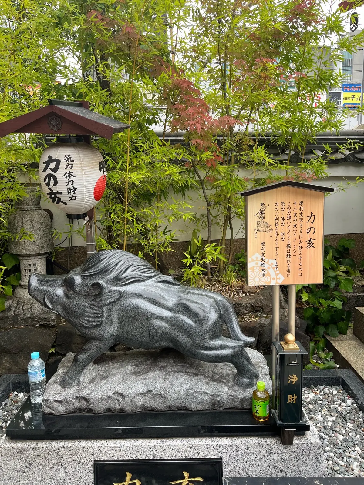 【神活】見るだけでご利益ありそう！ひっその画像_12