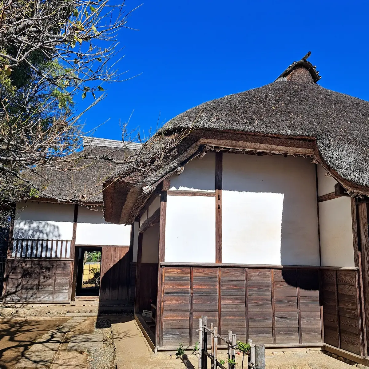 着物姿で歴史探訪の画像_5