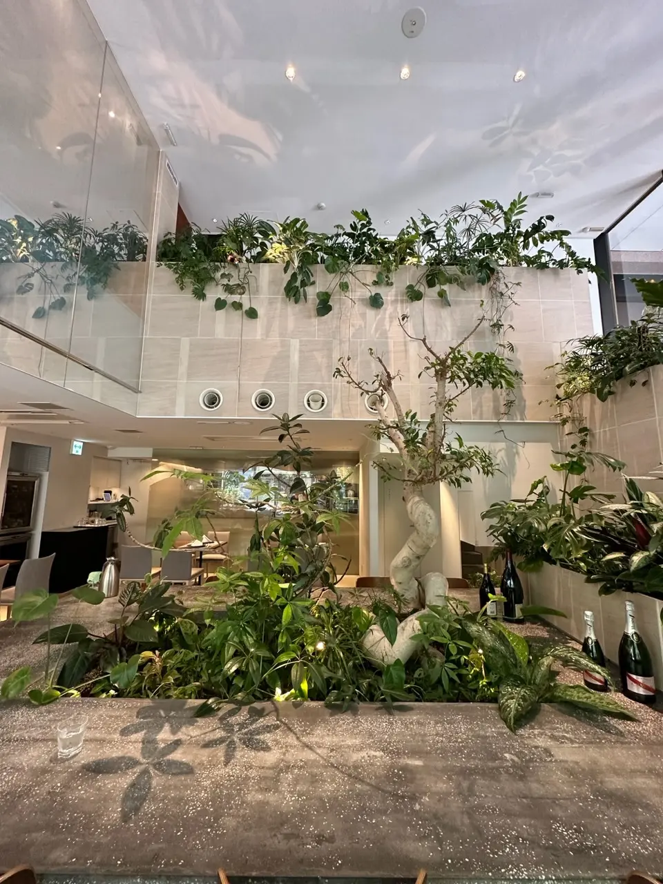 熱香森　ラシャンセン　中華