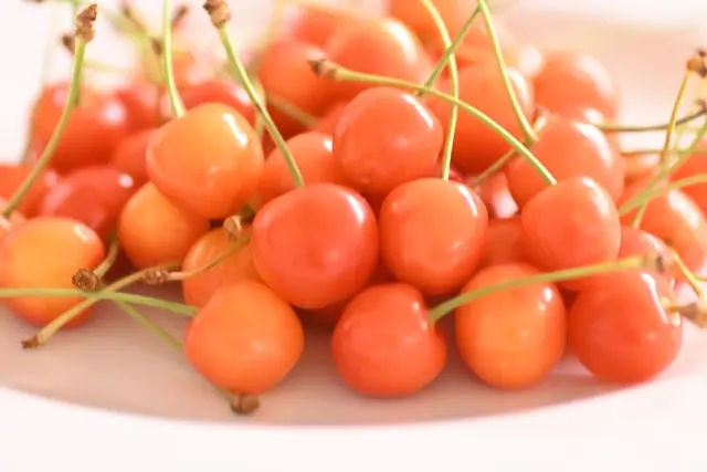 さくらんぼ（佐藤錦）