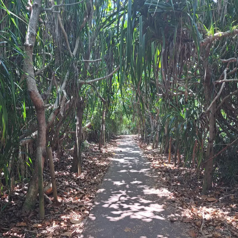 今年も私にとって最高のロケーションで過ごの画像_23