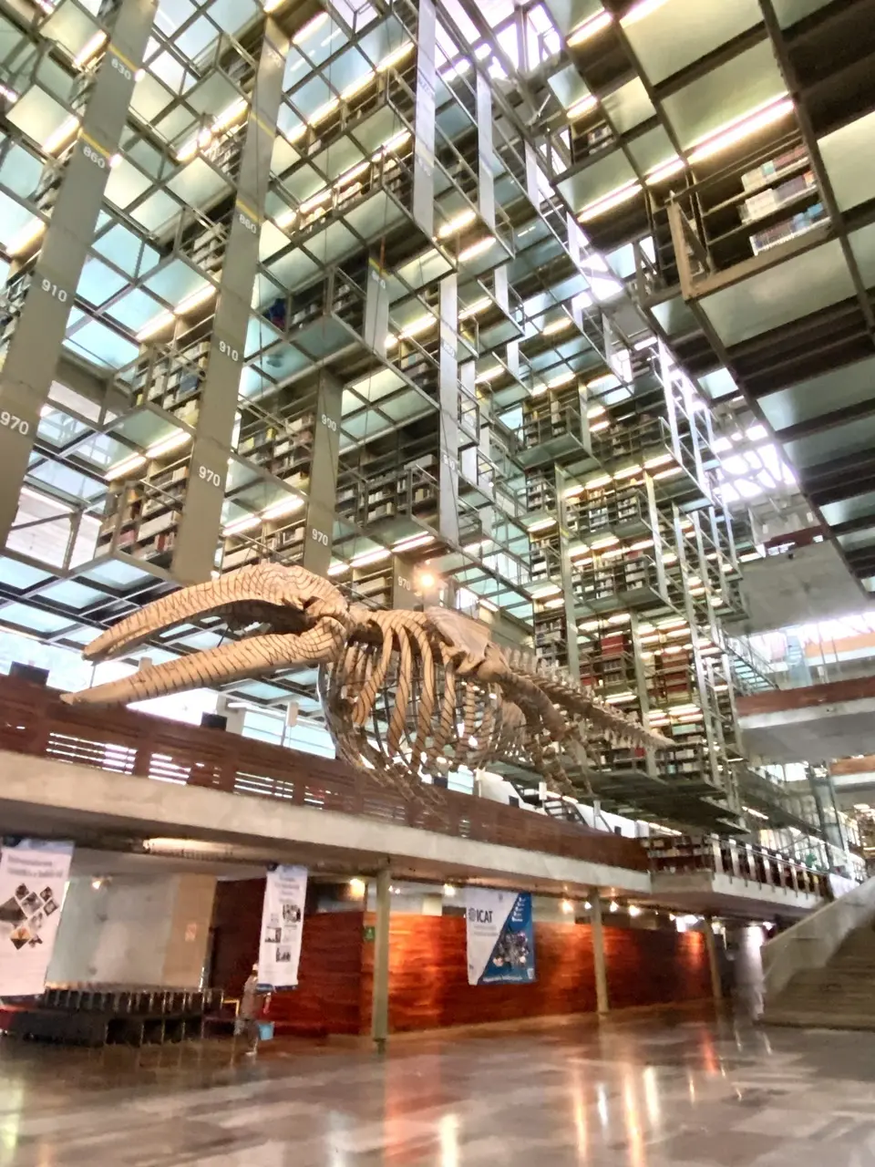 Biblioteca Vasconcelos ③