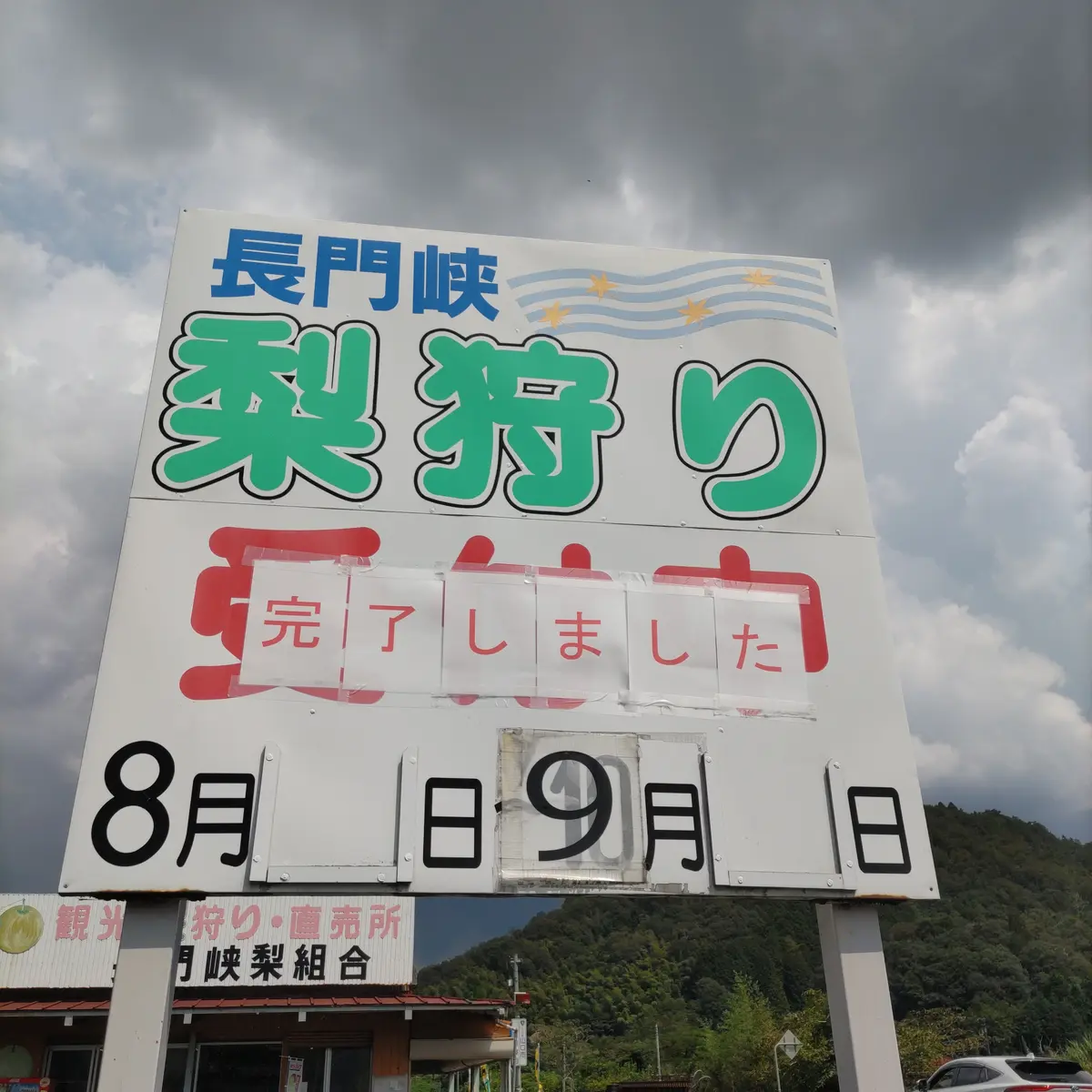 『二十世紀梨』の画像_4