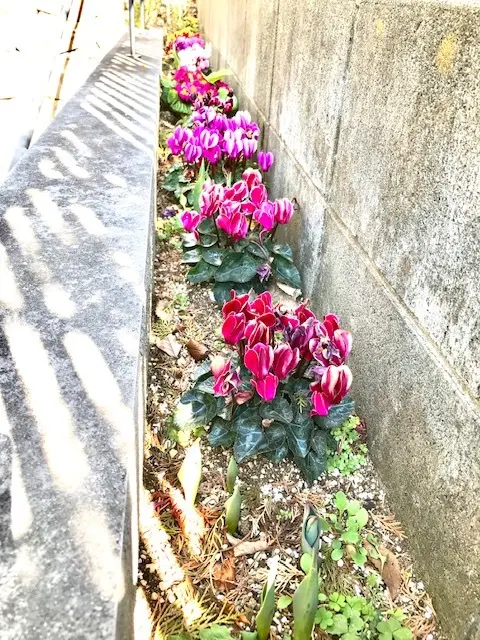 ＊春の空間＊の画像_8