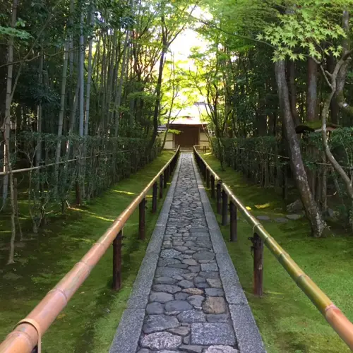 京都めぐり　その２の画像_5