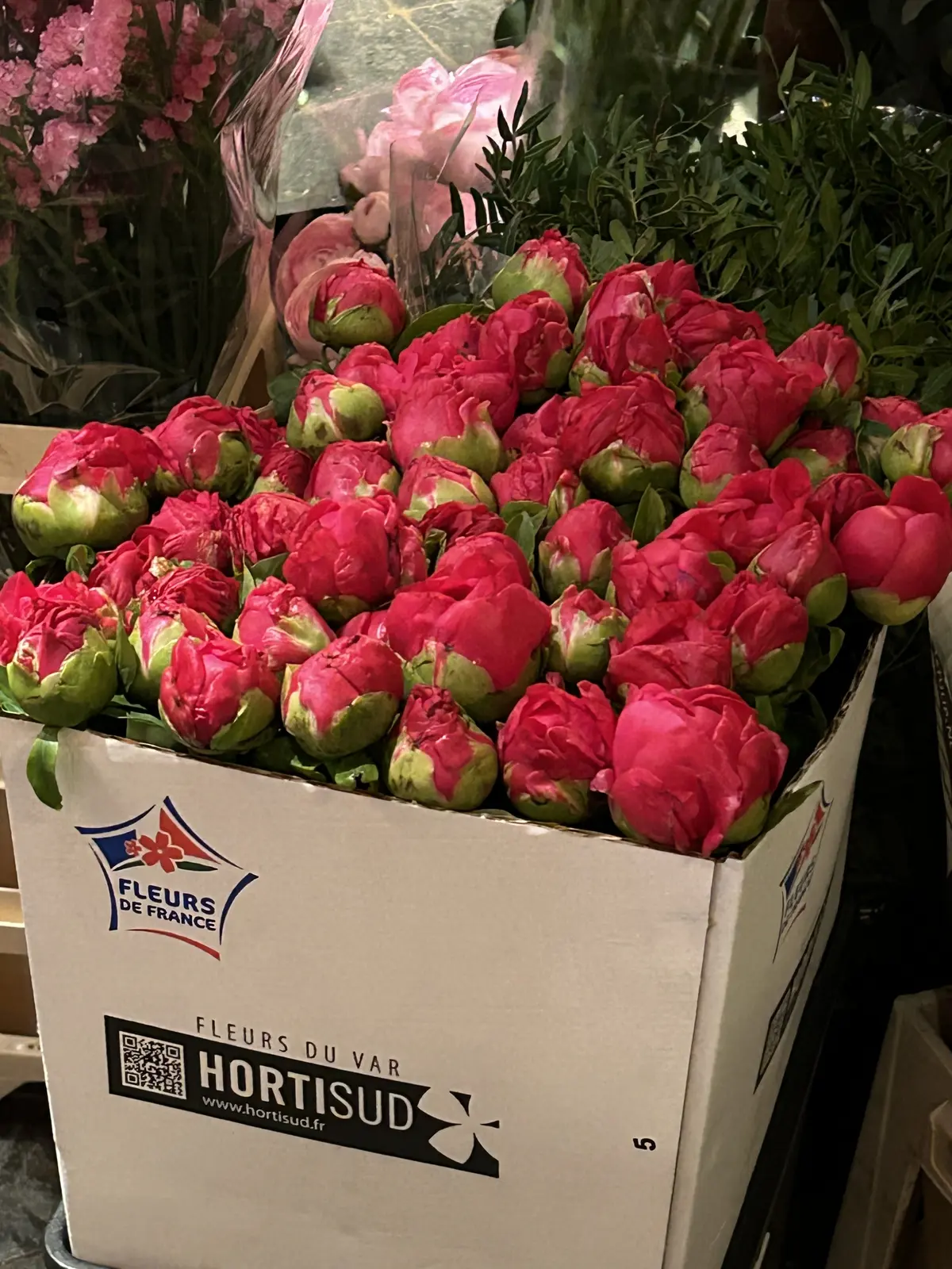 フランススタイルフラワーアレンジメント　パリスタイルフラワーアレンジメント