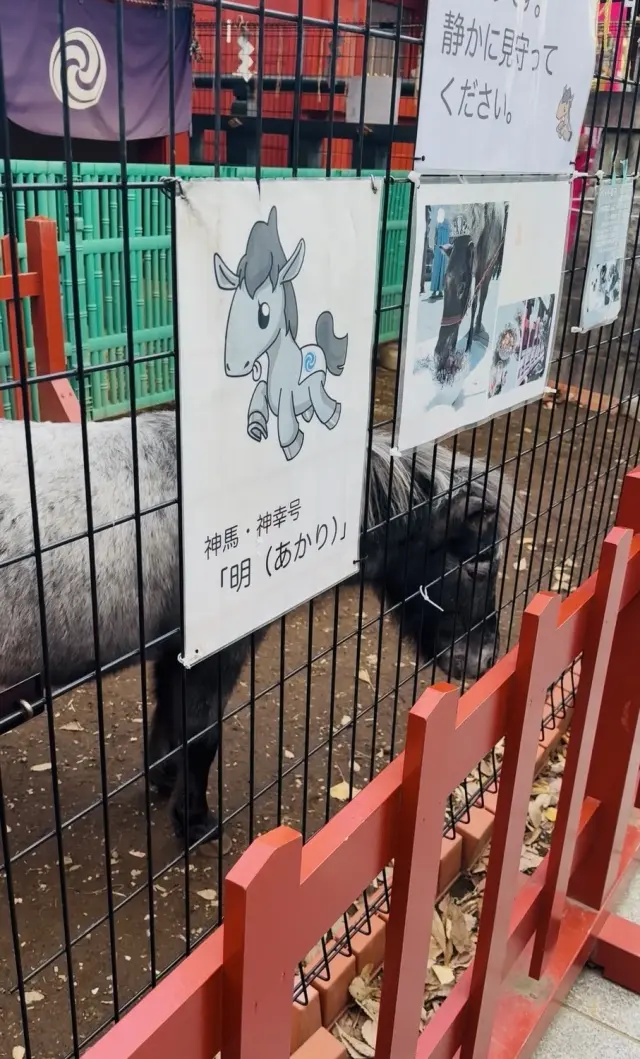 2026年の初詣は神田明神へ神馬あかりちの画像_5