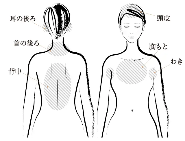 皮脂量の多い部分に注意