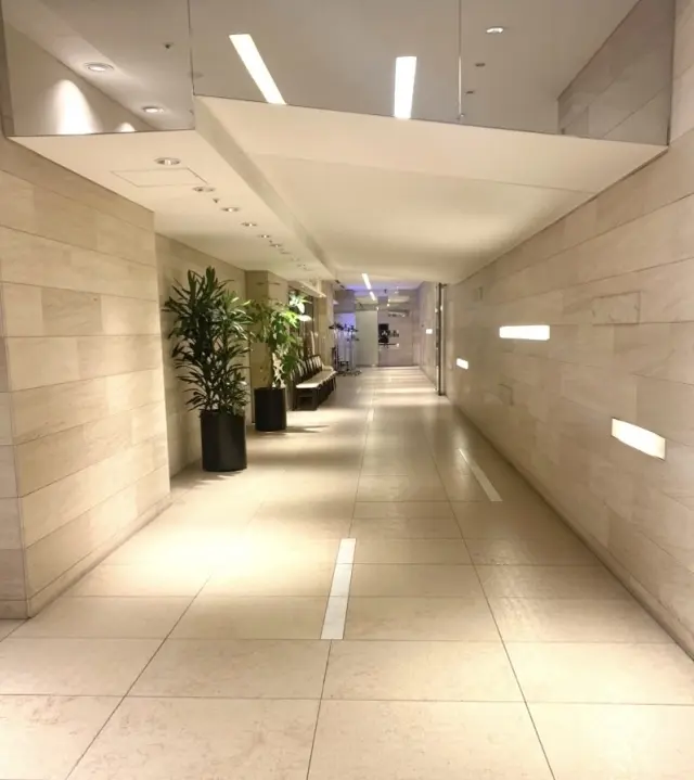 大人になっても、忘れないときめきを✨の画像_7