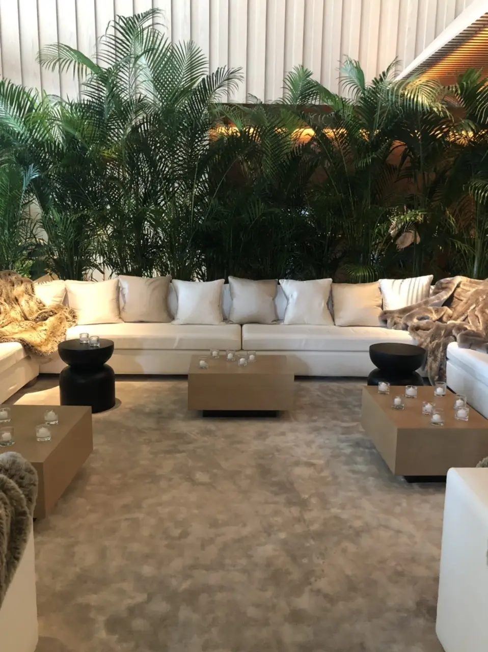 The Blue Room東京エディッシの画像_4