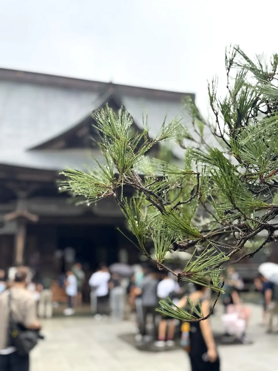 中尊寺 22