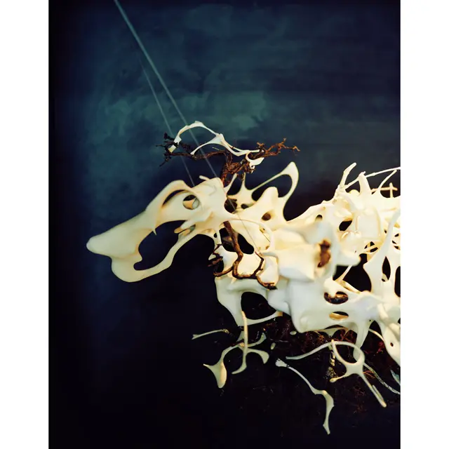 福田泰崇さんの3Dプリンター作品