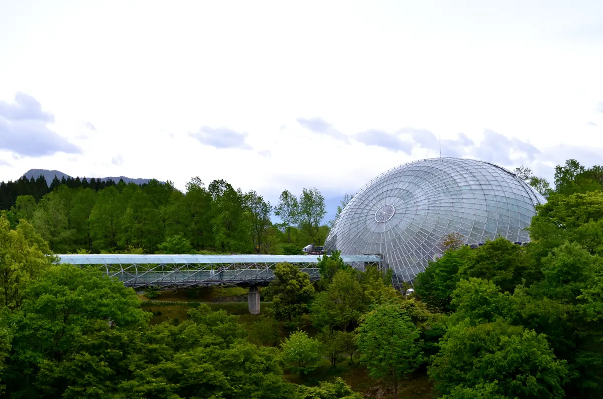 花よりお金？！（金持神社vsとっとり花回の画像_6