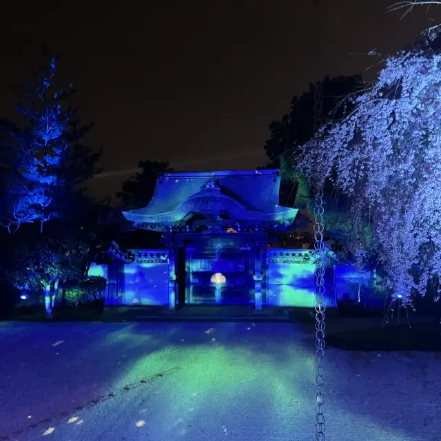 京都高台寺ライトアップとプロジェクションの画像_6