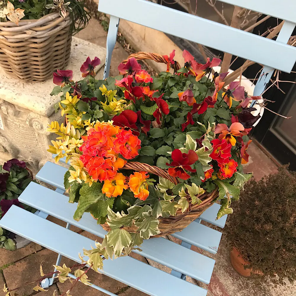 オレンジ基調の落ち着いた寄せ植え花籠