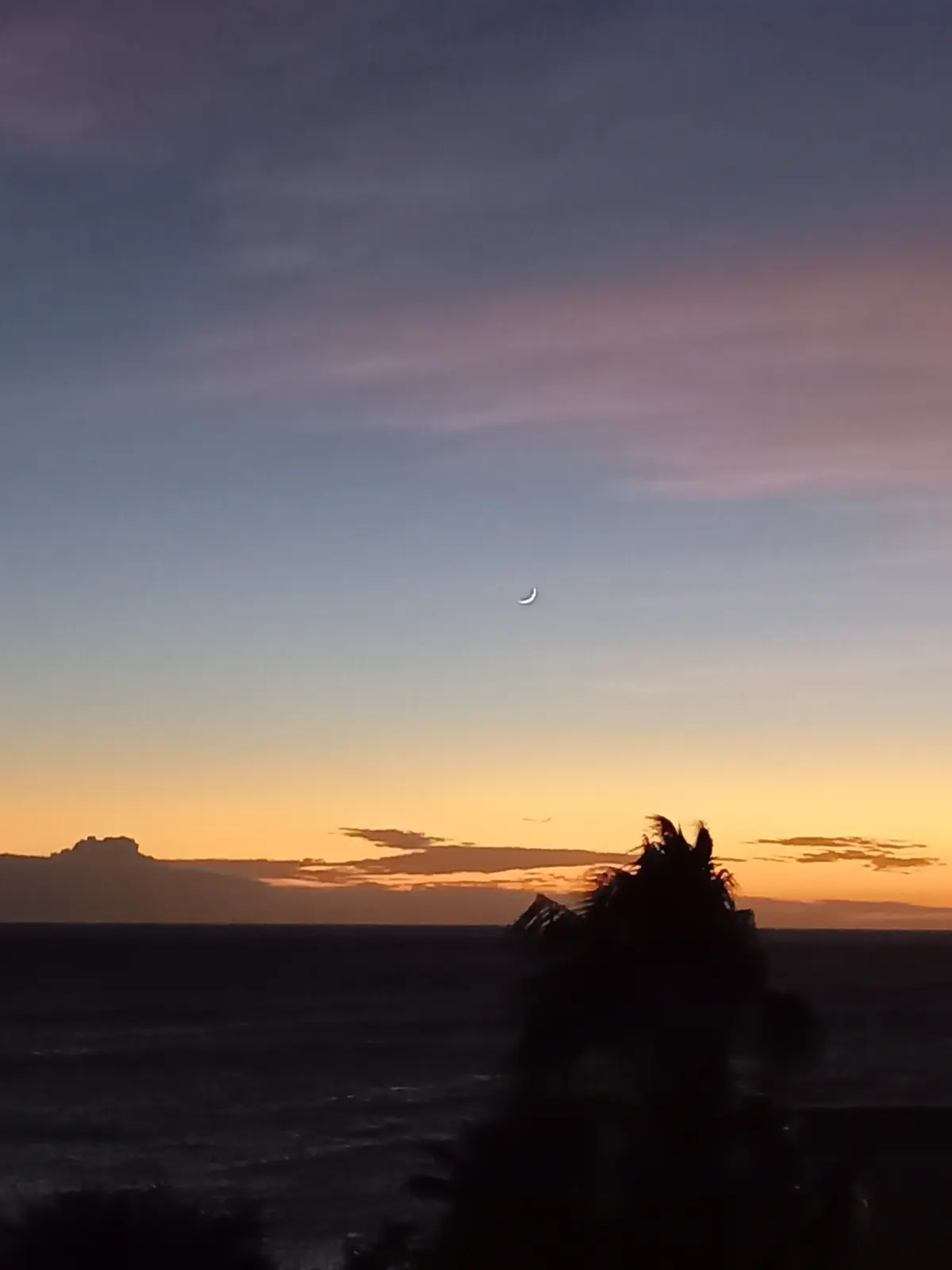 ハワイ島へ♡全米1美しいビーチのあるウェの画像_6