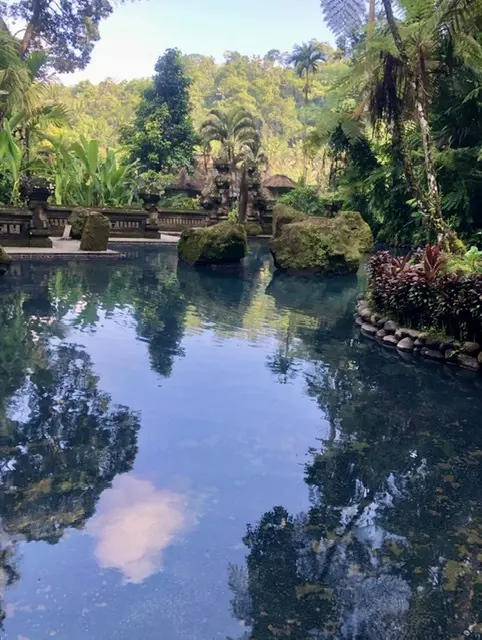 ホーリープール