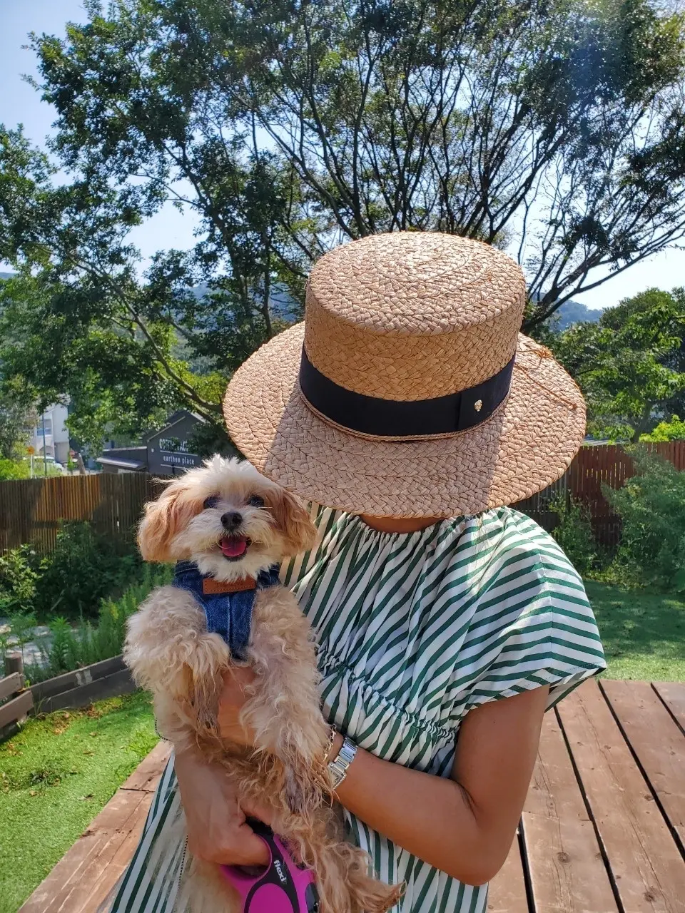 愛犬ミルクと夏休みの画像_3