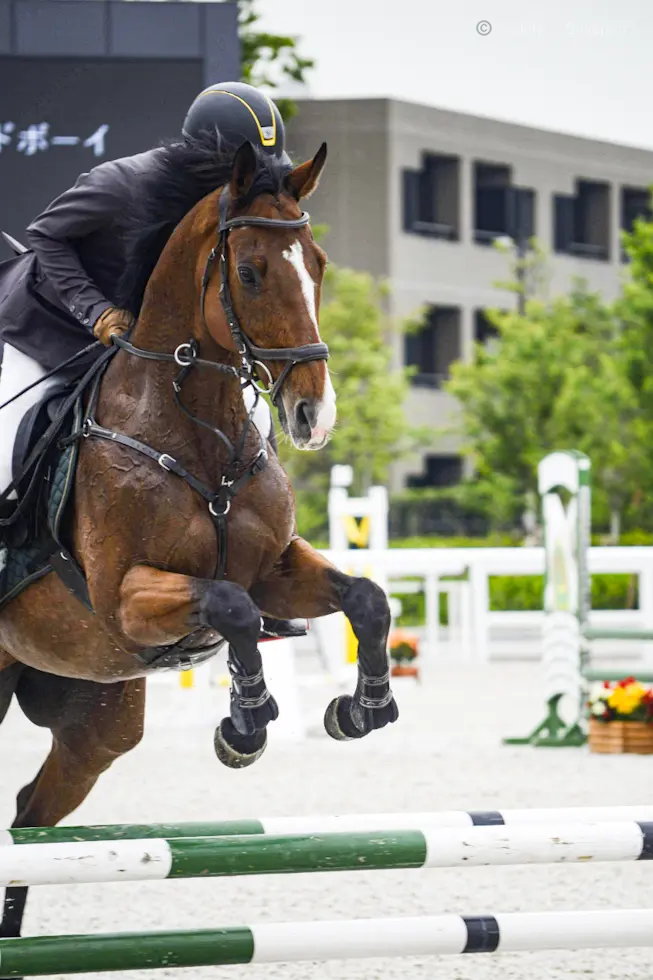 【感動の馬事公苑🐴✨】悪友の応援に参上🥸の画像_2