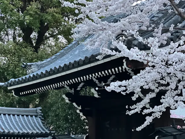 【さかぽんの冒険】後編☆老舗グルメのくいの画像_23