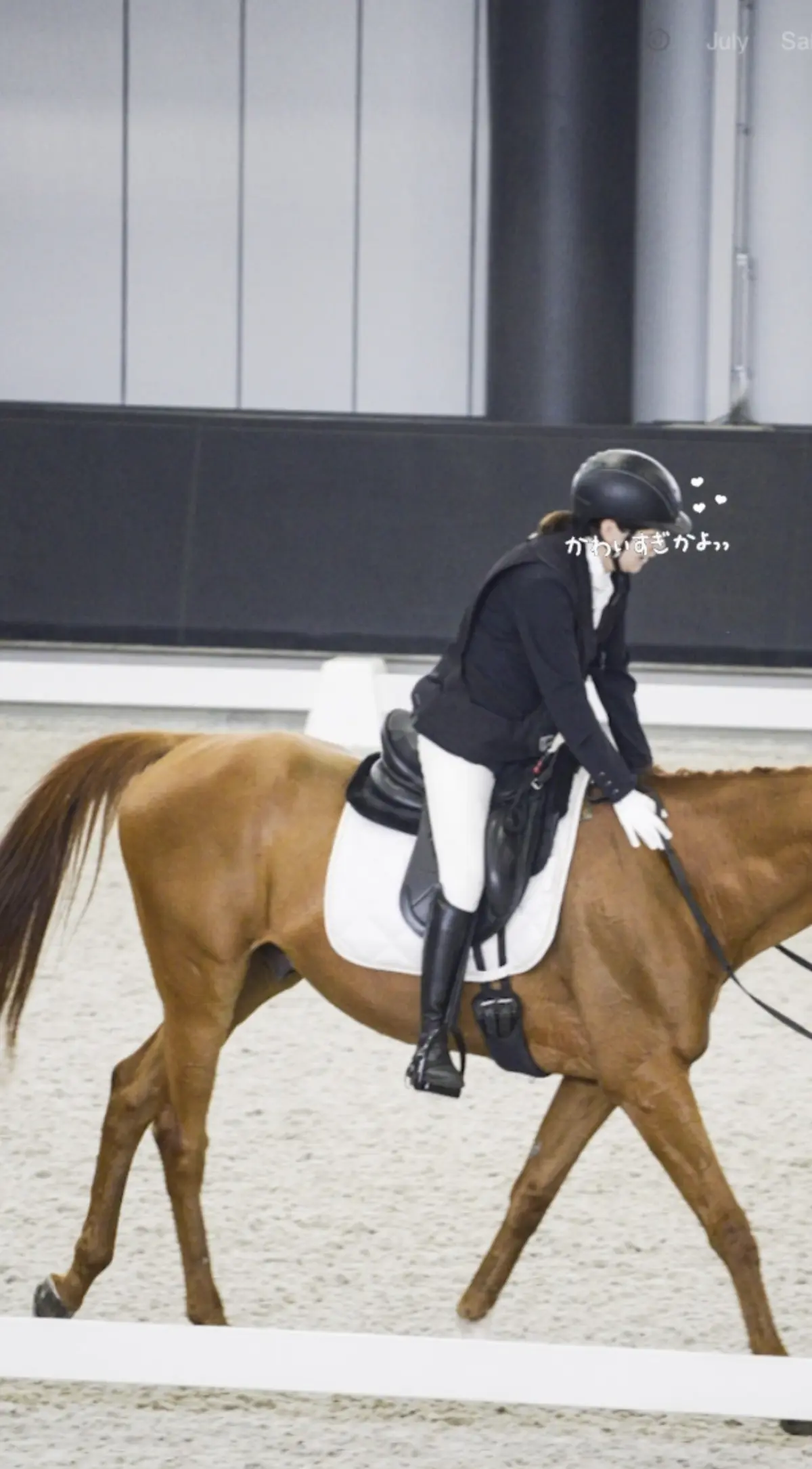 【感動の馬事公苑🐴✨】悪友の応援に参上🥸の画像_5