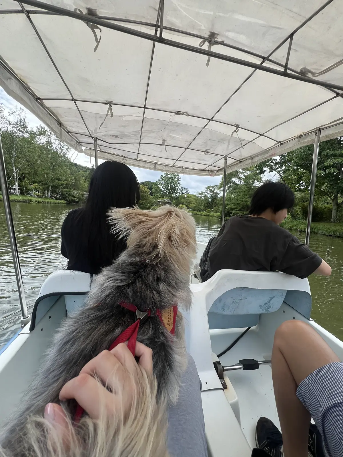 ゾーイちゃん犬生初めてのボート