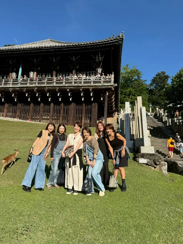 極上の奈良の朝、神秘的な光景。の画像_1