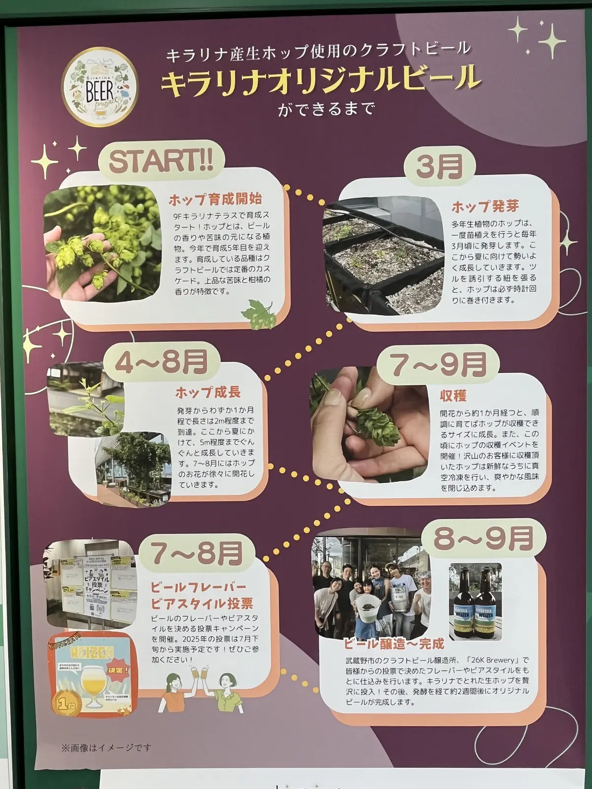 吉祥寺のオシャレカフェのようなカレー屋さの画像_12