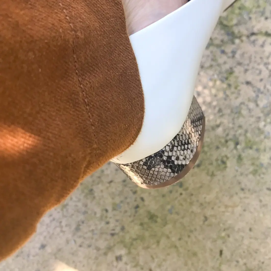 ヒールがパイソンの